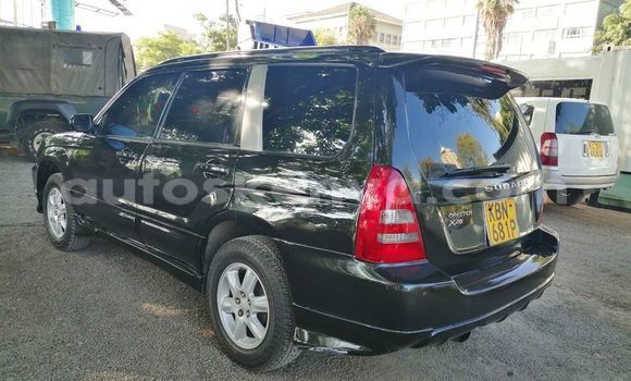 Oofamaa Subaru Forester Black Makiinaa iti Nairobi keessatti Nairobi keessatti Oofamaa Subaru Forester Black Makiinaa iti Nairobi keessatti Nairobi keessatti