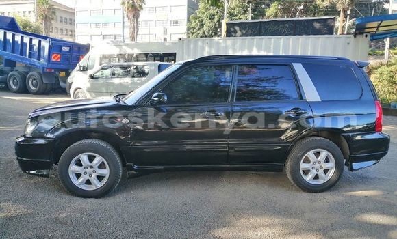 Oofamaa Subaru Forester Black Makiinaa iti Nairobi keessatti Nairobi keessatti Oofamaa Subaru Forester Black Makiinaa iti Nairobi keessatti Nairobi keessatti