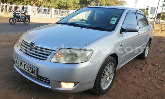 Oofamaa Toyota Corolla Silver Makiinaa iti Nairobi keessatti Nairobi keessatti Oofamaa Toyota Corolla Silver Makiinaa iti Nairobi keessatti Nairobi keessatti