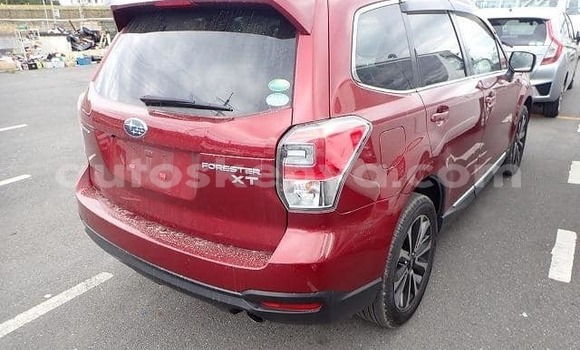 Nunua Ilio tumika Subaru Forester Nyekundu Gari ndani ya Mombasa nchini Kenya ya Pwani Nunua Ilio tumika Subaru Forester Nyekundu Gari ndani ya Mombasa nchini Kenya ya Pwani