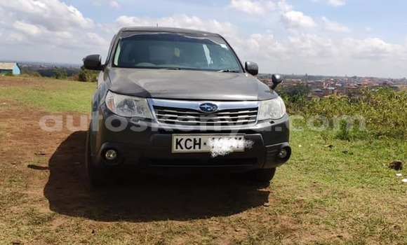 Buy Used Subaru Forester Black Car in Nairobi in Nairobi Buy Used Subaru Forester Black Car in Nairobi in Nairobi