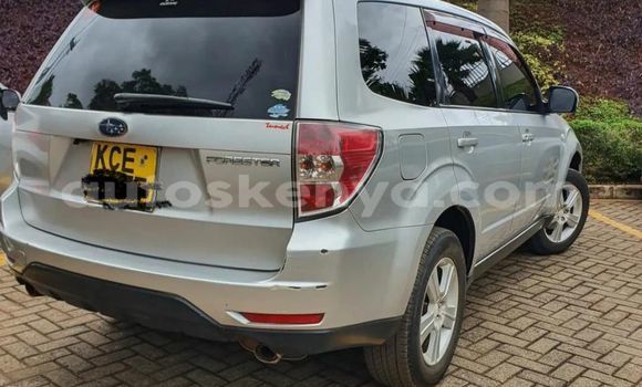 Buy Used Subaru Forester Silver Car in Nairobi in Nairobi Buy Used Subaru Forester Silver Car in Nairobi in Nairobi