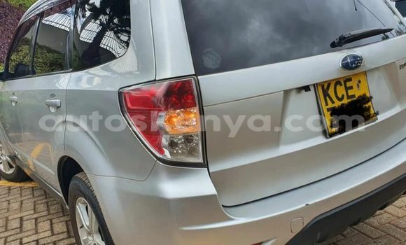 Buy Used Subaru Forester Silver Car in Nairobi in Nairobi Buy Used Subaru Forester Silver Car in Nairobi in Nairobi