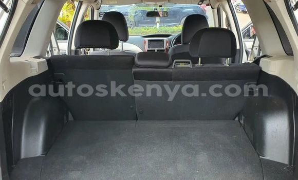 Buy Used Subaru Forester Silver Car in Nairobi in Nairobi Buy Used Subaru Forester Silver Car in Nairobi in Nairobi
