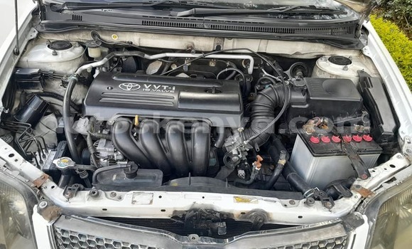 Oofamaa Toyota Fielder White Makiinaa iti Nairobi keessatti Nairobi keessatti Oofamaa Toyota Fielder White Makiinaa iti Nairobi keessatti Nairobi keessatti