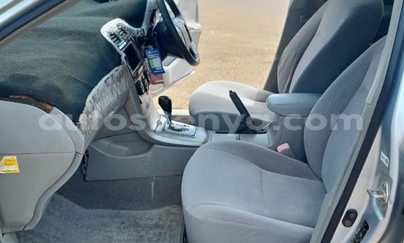 Oofamaa Toyota Axio Silver Makiinaa iti Kiambu keessatti Central Kenya keessatti Oofamaa Toyota Axio Silver Makiinaa iti Kiambu keessatti Central Kenya keessatti