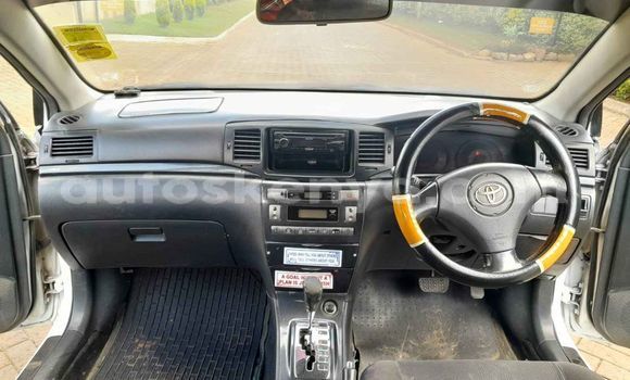 Oofamaa Toyota Fielder White Makiinaa iti Kiambu keessatti Central Kenya keessatti Oofamaa Toyota Fielder White Makiinaa iti Kiambu keessatti Central Kenya keessatti