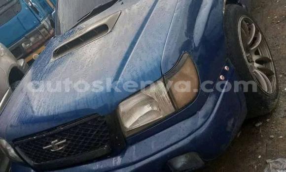 Oofamaa Subaru Forester Blue Makiinaa iti Nairobi keessatti Nairobi keessatti