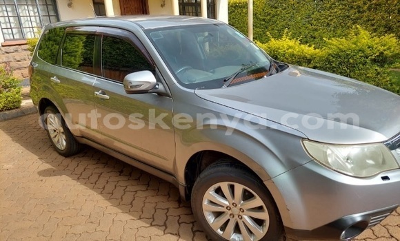 Oofamaa Subaru Forester Silver Makiinaa iti Nairobi keessatti Nairobi keessatti Oofamaa Subaru Forester Silver Makiinaa iti Nairobi keessatti Nairobi keessatti