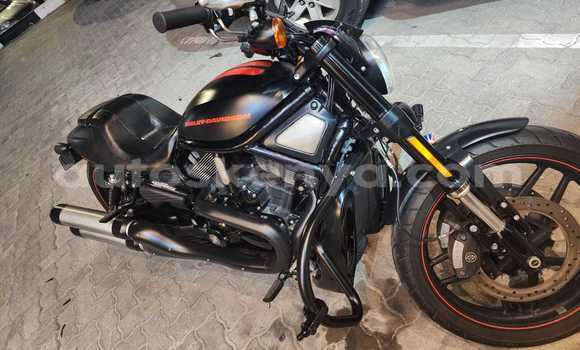 Oofamaa Harley Davidson VRSC Black Doqdoqqee iti Nairobi keessatti Nairobi keessatti Oofamaa Harley Davidson VRSC Black Doqdoqqee iti Nairobi keessatti Nairobi keessatti