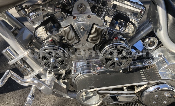 Buy Used Big Bear Choppers Bear Bones Silver Bike in Nairobi in Nairobi Buy Used Big Bear Choppers Bear Bones Silver Bike in Nairobi in Nairobi