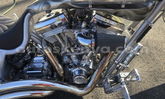 Buy Used Big Bear Choppers Bear Bones Silver Bike in Nairobi in Nairobi Buy Used Big Bear Choppers Bear Bones Silver Bike in Nairobi in Nairobi