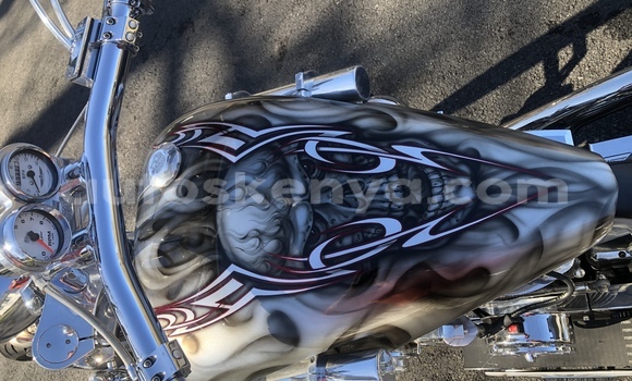Buy Used Big Bear Choppers Bear Bones Silver Bike in Nairobi in Nairobi Buy Used Big Bear Choppers Bear Bones Silver Bike in Nairobi in Nairobi