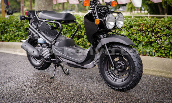 Buy New Honda RUCKUS Black Bike in Nairobi in Nairobi Buy New Honda RUCKUS Black Bike in Nairobi in Nairobi