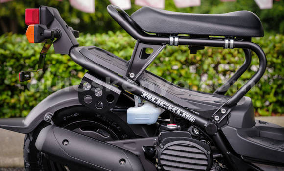 Buy New Honda RUCKUS Black Bike in Nairobi in Nairobi Buy New Honda RUCKUS Black Bike in Nairobi in Nairobi