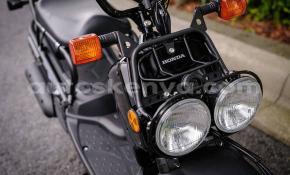 Buy New Honda RUCKUS Black Bike in Nairobi in Nairobi Buy New Honda RUCKUS Black Bike in Nairobi in Nairobi