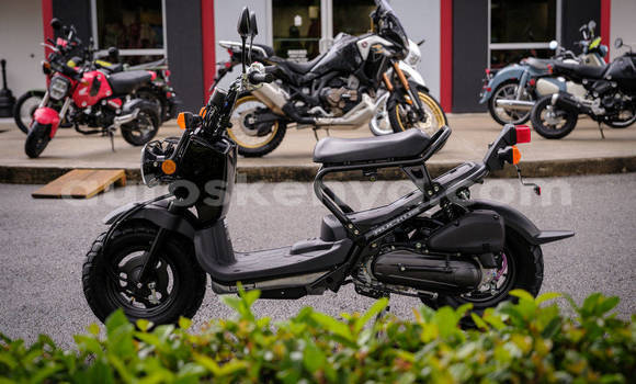 Buy New Honda RUCKUS Black Bike in Nairobi in Nairobi Buy New Honda RUCKUS Black Bike in Nairobi in Nairobi