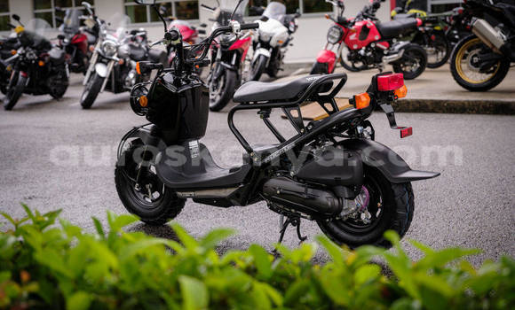 Buy New Honda RUCKUS Black Bike in Nairobi in Nairobi Buy New Honda RUCKUS Black Bike in Nairobi in Nairobi