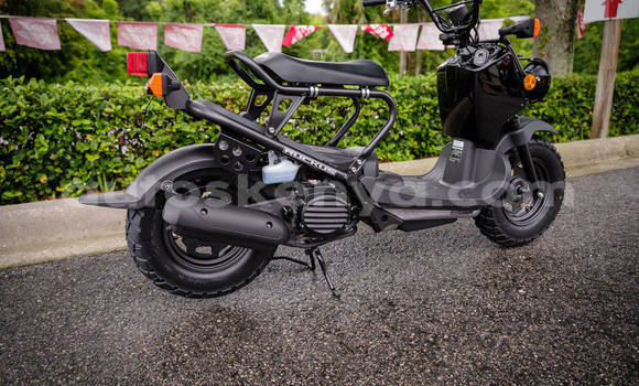 Buy New Honda RUCKUS Black Bike in Nairobi in Nairobi Buy New Honda RUCKUS Black Bike in Nairobi in Nairobi