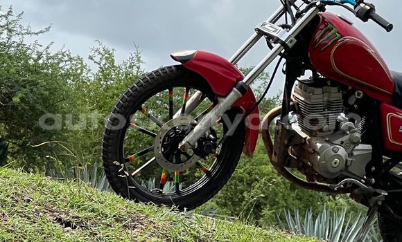 Oofamaa Matchless X Red Doqdoqqee iti Kajiado keessatti Rift Valley keessatti