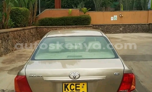 Oofamaa Toyota Axio Beige Makiinaa iti Nairobi keessatti Nairobi keessatti Oofamaa Toyota Axio Beige Makiinaa iti Nairobi keessatti Nairobi keessatti