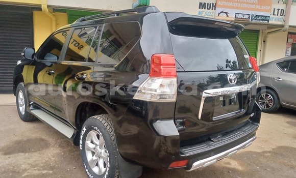 Oofamaa Toyota Land Cruiser Prado Other Makiinaa iti Nairobi keessatti Nairobi keessatti Oofamaa Toyota Land Cruiser Prado Other Makiinaa iti Nairobi keessatti Nairobi keessatti