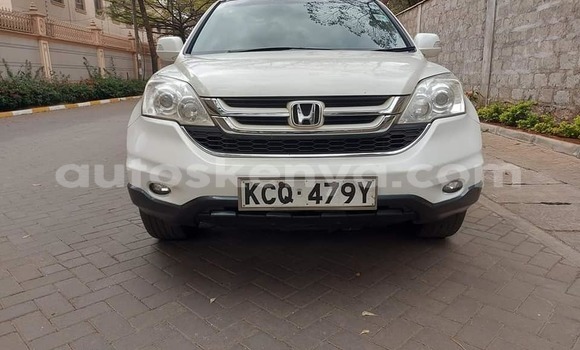 Buy Used Honda CR–V White Car in Nairobi in Nairobi Buy Used Honda CR–V White Car in Nairobi in Nairobi