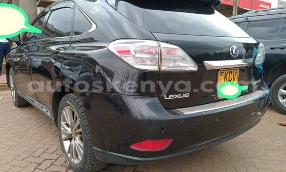 Oofamaa Lexus RX Black Makiinaa iti Nairobi keessatti Nairobi keessatti Oofamaa Lexus RX Black Makiinaa iti Nairobi keessatti Nairobi keessatti