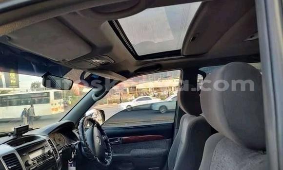 Buy Used Toyota Land Cruiser Other Car in Nairobi in Nairobi Buy Used Toyota Land Cruiser Other Car in Nairobi in Nairobi