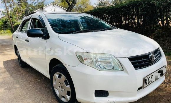 Buy Used Toyota Axio White Car in Nairobi in Nairobi Buy Used Toyota Axio White Car in Nairobi in Nairobi