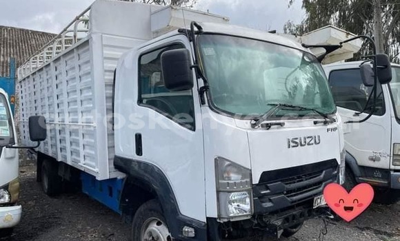 Buy Used Isuzu FRR 33L White Truck in Nairobi in Nairobi Buy Used Isuzu FRR 33L White Truck in Nairobi in Nairobi