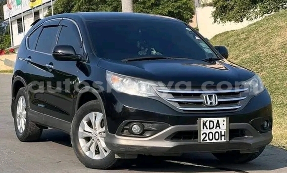 Oofamaa Honda CR–V Black Makiinaa iti Nairobi keessatti Nairobi keessatti Oofamaa Honda CR–V Black Makiinaa iti Nairobi keessatti Nairobi keessatti