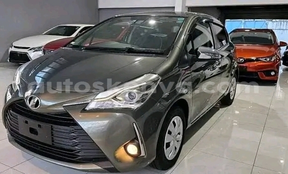 Oofamaa Toyota Vitz Other Makiinaa iti Nairobi keessatti Nairobi keessatti Oofamaa Toyota Vitz Other Makiinaa iti Nairobi keessatti Nairobi keessatti