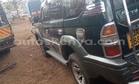 Oofamaa Land Rover Range Rover Other Makiinaa iti Kapenguria keessatti Rift Valley keessatti Oofamaa Land Rover Range Rover Other Makiinaa iti Kapenguria keessatti Rift Valley keessatti