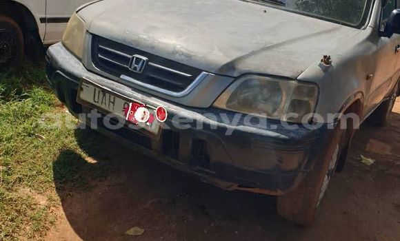 Oofamaa Toyota 2000GT Other Makiinaa iti Kapenguria keessatti Rift Valley keessatti Oofamaa Toyota 2000GT Other Makiinaa iti Kapenguria keessatti Rift Valley keessatti