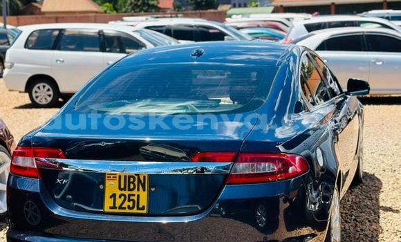 Oofamaa Jaguar E-Pace Blue Makiinaa iti Kapenguria keessatti Rift Valley keessatti