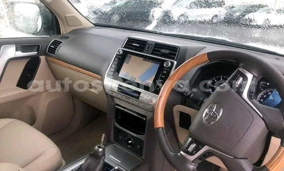Nunua Ilio tumika Toyota Land Cruiser Prado Nyeupe Gari ndani ya Nairobi nchini Nairobi Nunua Ilio tumika Toyota Land Cruiser Prado Nyeupe Gari ndani ya Nairobi nchini Nairobi