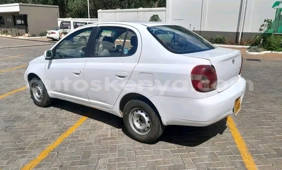 Buy Used Toyota Platz White Car in Kiambu in Central Kenya Buy Used Toyota Platz White Car in Kiambu in Central Kenya