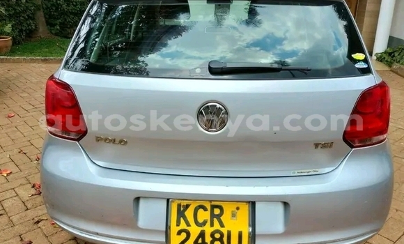 Buy Used Volkswagen Polo Silver Car in Kiambu in Central Kenya Buy Used Volkswagen Polo Silver Car in Kiambu in Central Kenya