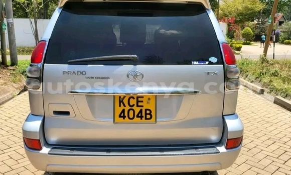 Buy Used Toyota Prado Silver Car in Kiambu in Central Kenya Buy Used Toyota Prado Silver Car in Kiambu in Central Kenya