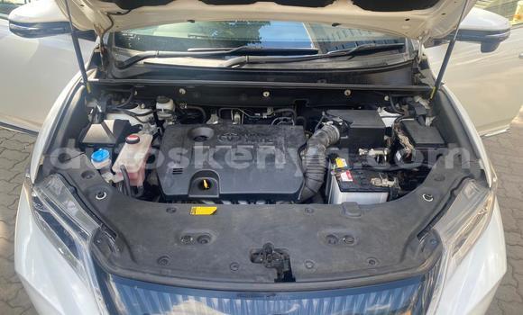 Buy New Toyota Harrier White Car in Nairobi in Nairobi Buy New Toyota Harrier White Car in Nairobi in Nairobi