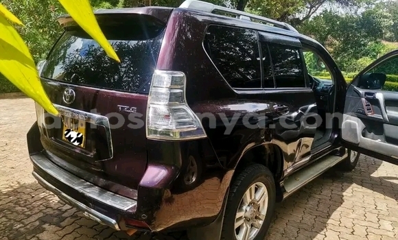 Buy Used Toyota Prado Other Car in Nairobi in Nairobi