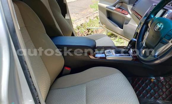 Buy Used Toyota Mark X Silver Car in Nairobi in Nairobi Buy Used Toyota Mark X Silver Car in Nairobi in Nairobi