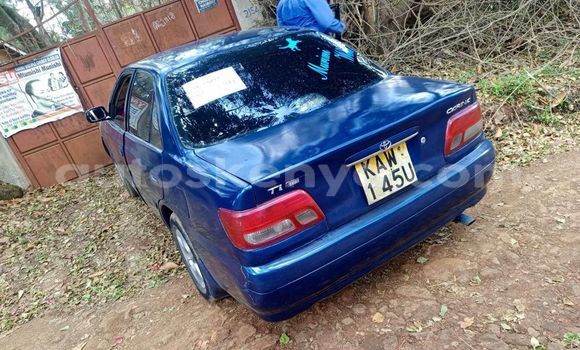 Buy Used Toyota Allex Blue Car in Nairobi in Nairobi Buy Used Toyota Allex Blue Car in Nairobi in Nairobi