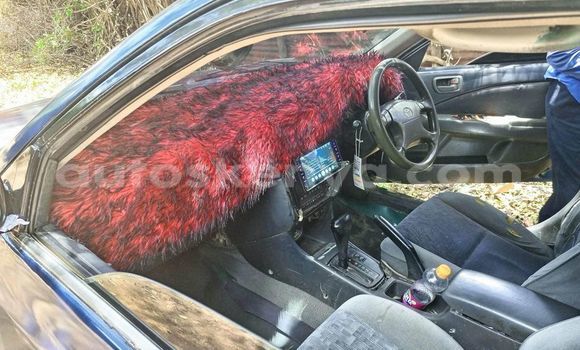 Buy Used Toyota Allex Blue Car in Nairobi in Nairobi Buy Used Toyota Allex Blue Car in Nairobi in Nairobi