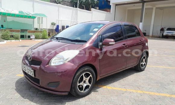 Buy Used Toyota Vitz Red Car in Kiambu in Central Kenya Buy Used Toyota Vitz Red Car in Kiambu in Central Kenya