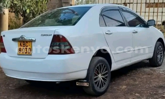 Oofamaa Toyota Corolla White Makiinaa iti Nairobi keessatti Nairobi keessatti