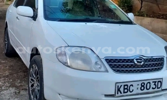 Oofamaa Toyota Corolla White Makiinaa iti Nairobi keessatti Nairobi keessatti Oofamaa Toyota Corolla White Makiinaa iti Nairobi keessatti Nairobi keessatti