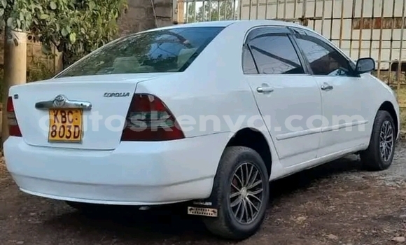 Oofamaa Toyota Corolla White Makiinaa iti Nairobi keessatti Nairobi keessatti Oofamaa Toyota Corolla White Makiinaa iti Nairobi keessatti Nairobi keessatti
