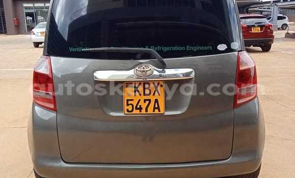 Buy Used Toyota Ractis Other Car in Nairobi in Nairobi Buy Used Toyota Ractis Other Car in Nairobi in Nairobi